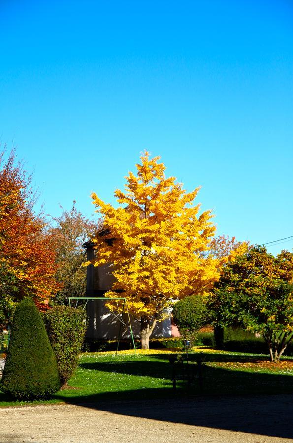 Chateau De Montabert Montaulin Esterno foto